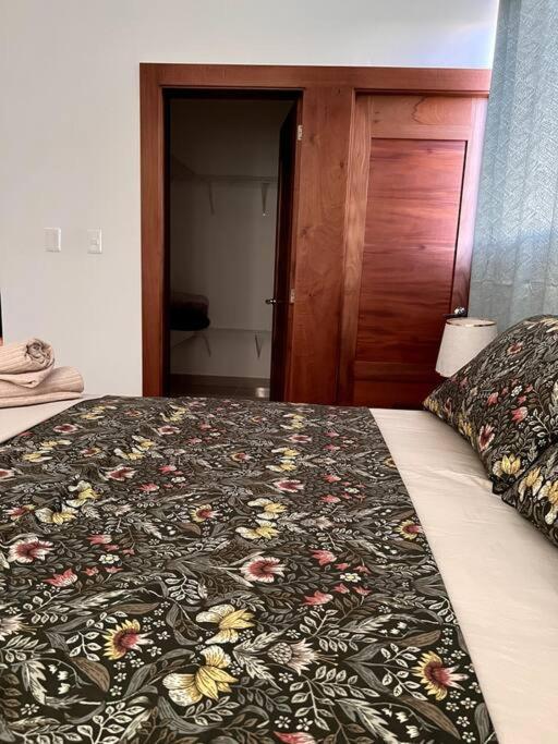 Magnificent Pent House W/Jacuzzi Apartment Santiago De Los Caballeros Exterior photo