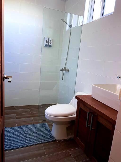 Magnificent Pent House W/Jacuzzi Apartment Santiago De Los Caballeros Exterior photo